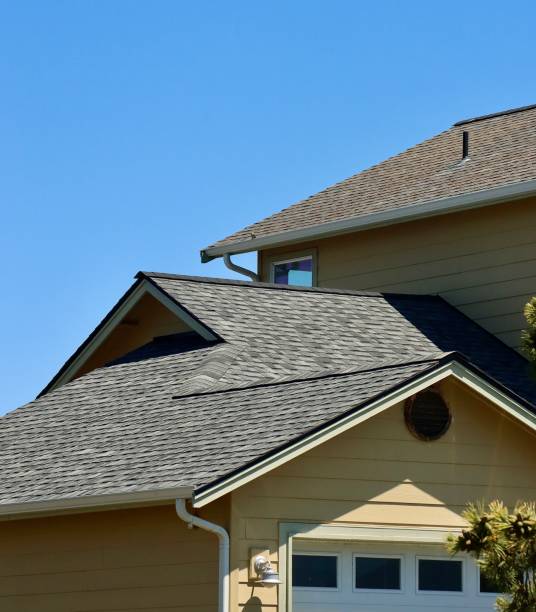 Trusted Penitas, TX Roofing Services Experts